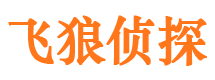 大兴安岭市侦探调查公司